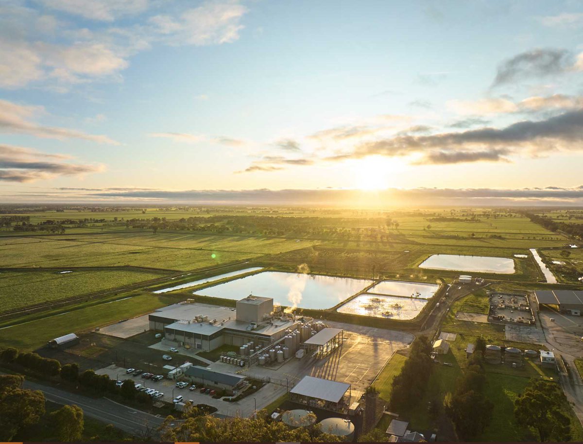 Australian Consolidated Milk (ACM)